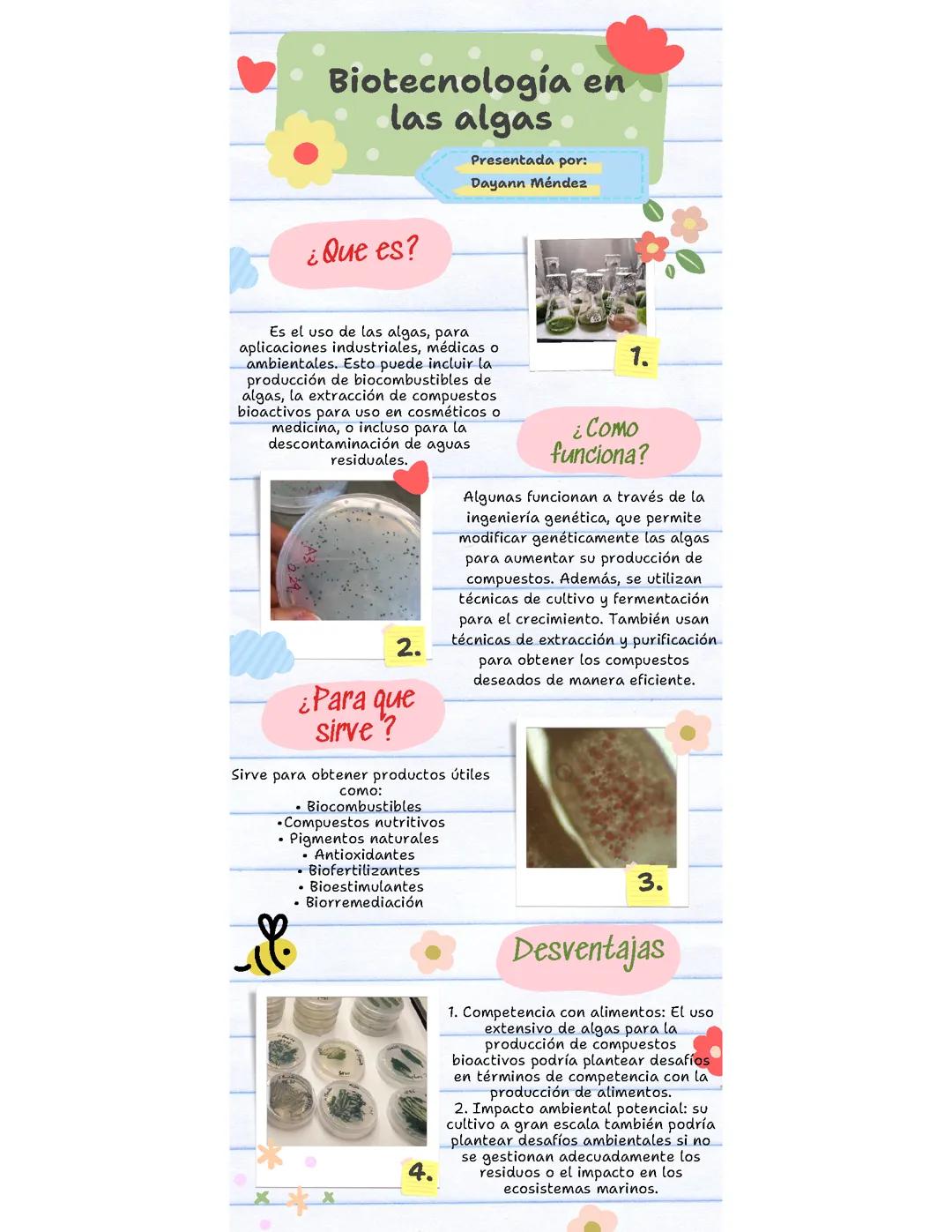 Biotecnología en las algas