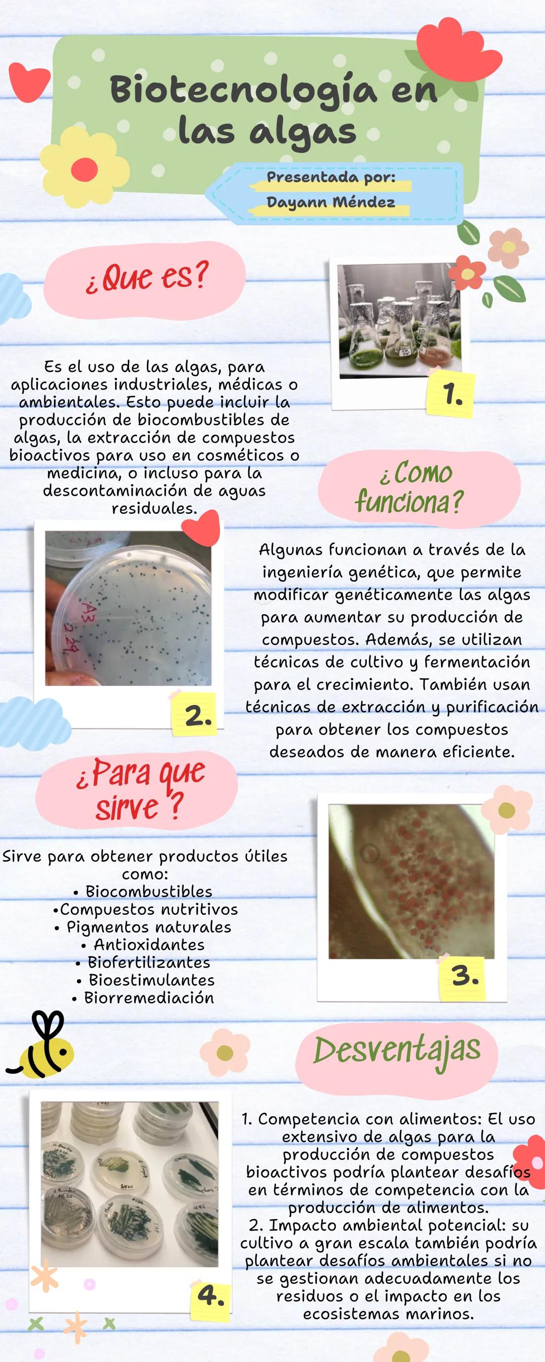 Biotecnología en
las algas
Presentada por:
Dayann Méndez
¿Que es?
Es el uso de las algas, para
aplicaciones industriales, médicas o
ambienta