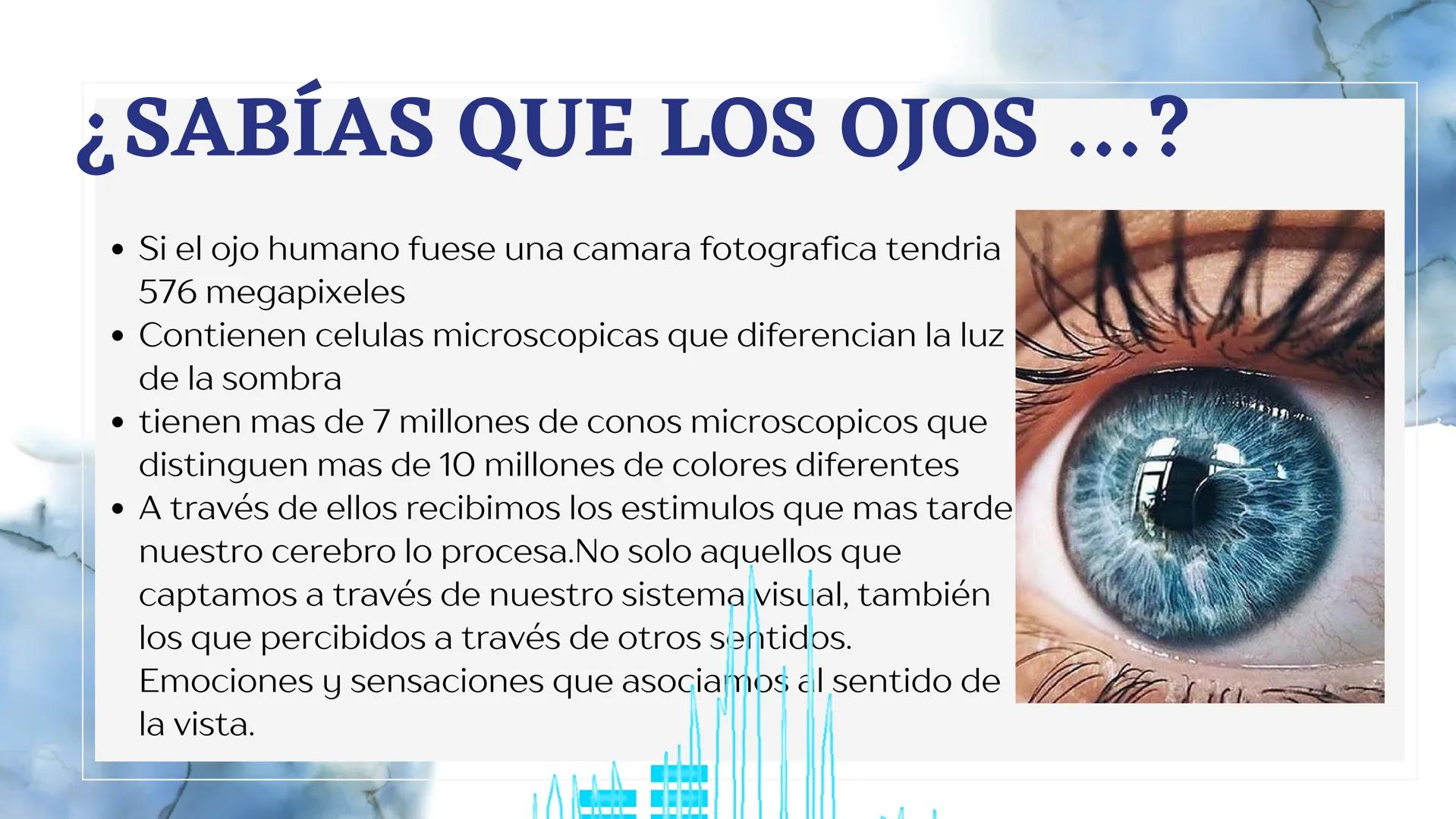 HOY PRESENTAMOS:
CARACTERISTICAS DEL OJO, IRIS Y RETINA
BY:
JAIME CORTES Y LINA ACERO
DOCENTE :ING.VICTOR ALFONSO MARTÍNEZ # ¡BIENVENIDOS