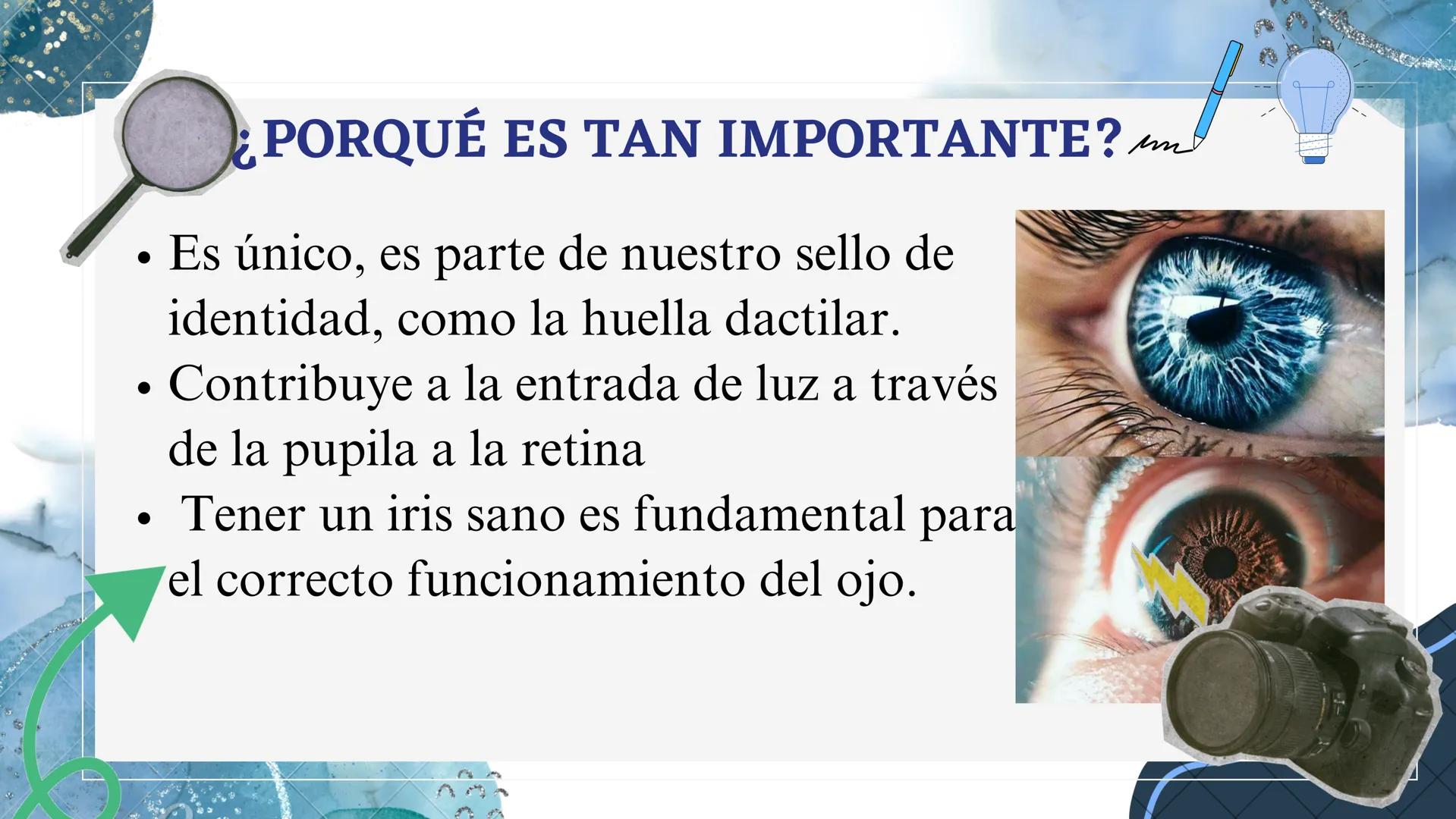 HOY PRESENTAMOS:
CARACTERISTICAS DEL OJO, IRIS Y RETINA
BY:
JAIME CORTES Y LINA ACERO
DOCENTE :ING.VICTOR ALFONSO MARTÍNEZ # ¡BIENVENIDOS