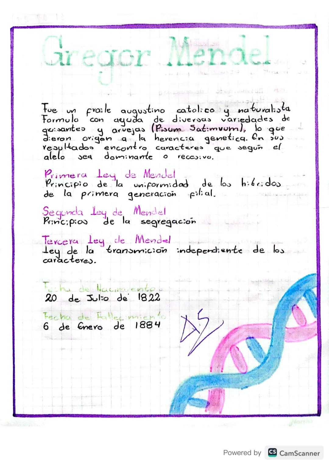 # Gregor Mendel
Fue un fraile augustino catolico y naturalista
Formulo con aguda de diversas variedades de
guisantes y arvejas (Pisum satim
