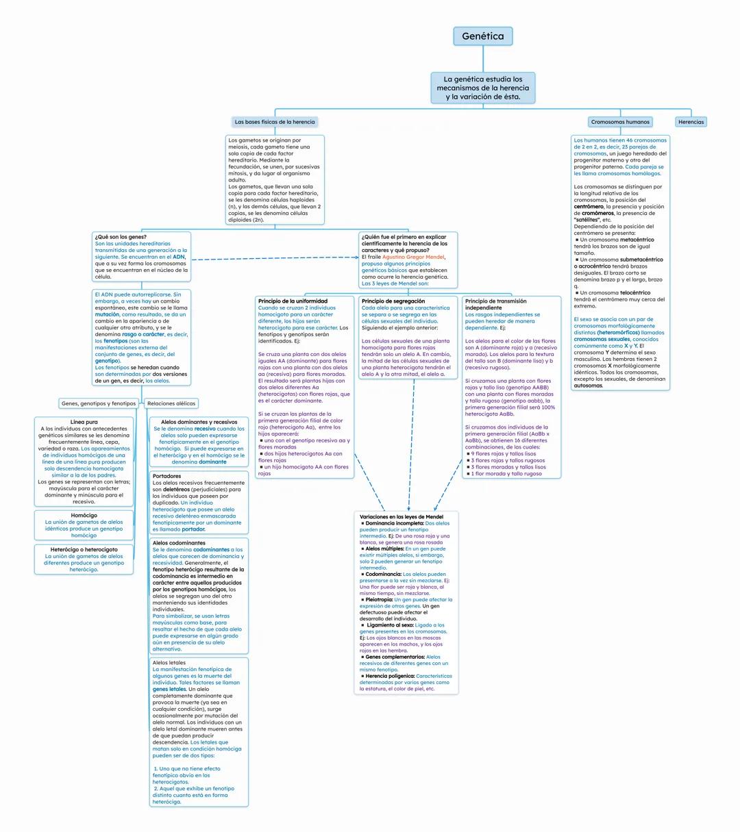# Genética
¿Qué son los genes?
Son las unidades hereditarios
transmitidas de una generación a la
siguiente.
El ADN, que a su vez forma los