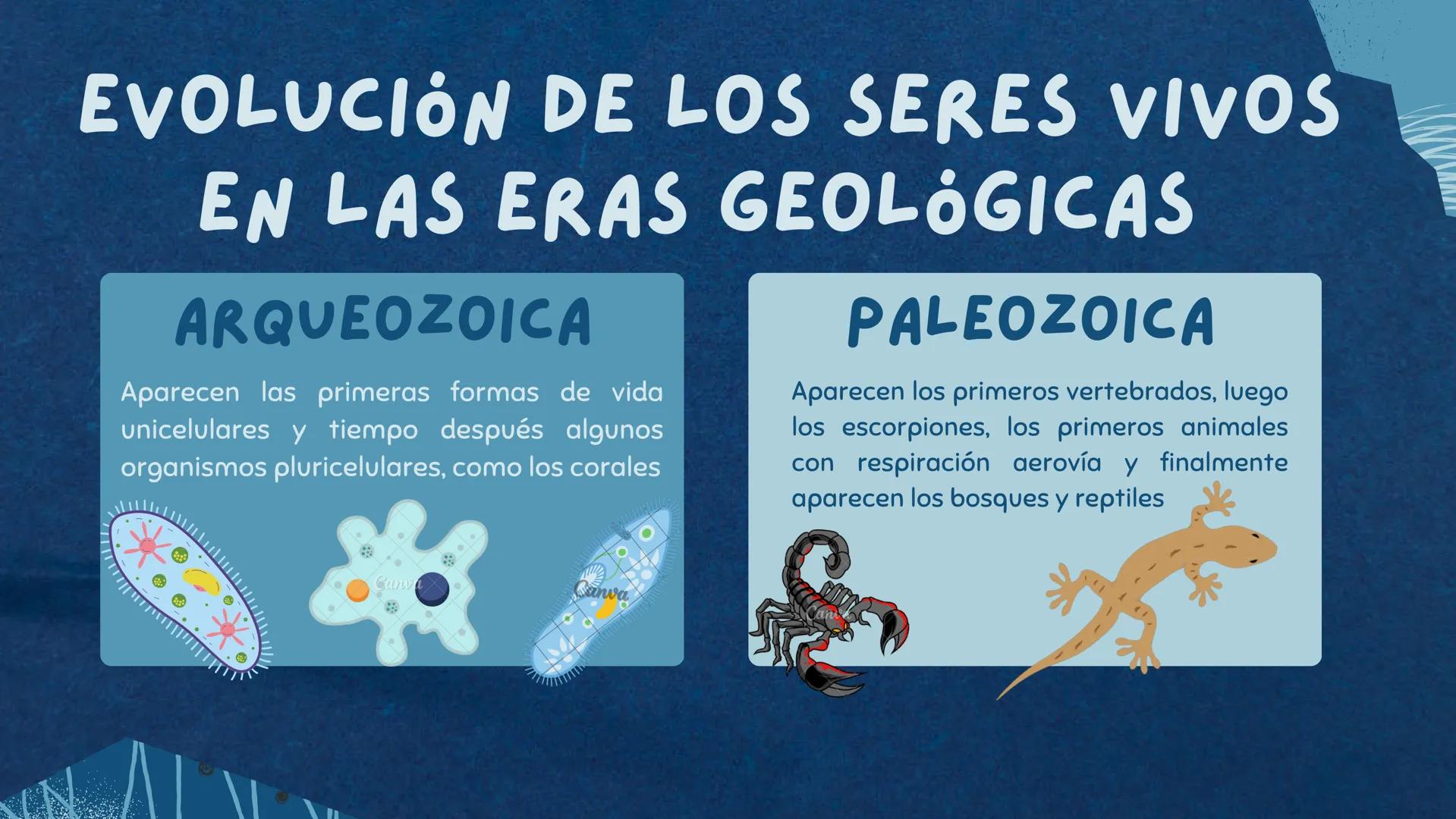 ORIGEN Y EVOLUCIÓN DE LOS
SERES VIVOS
ཤ་
* TEORIAS DEL ORIGEN
CREACIONISMO
Plantea que hay un ser supremo,
así como Dios, que creó tanto la