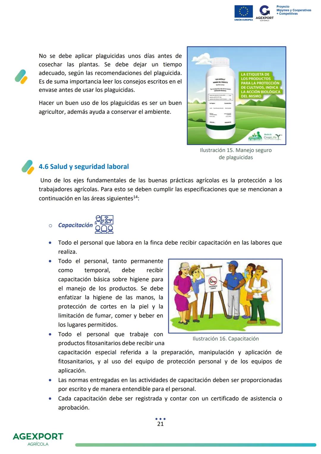 G
AGEXPORT
Proyecto
Mipymes y Cooperativas
+ Competitivas
UNIÓN EUROPEA
GUATEMALA
Lavanda, Lavandula angustifolia
AGEXPORT
AGRÍCOLA CONTENID