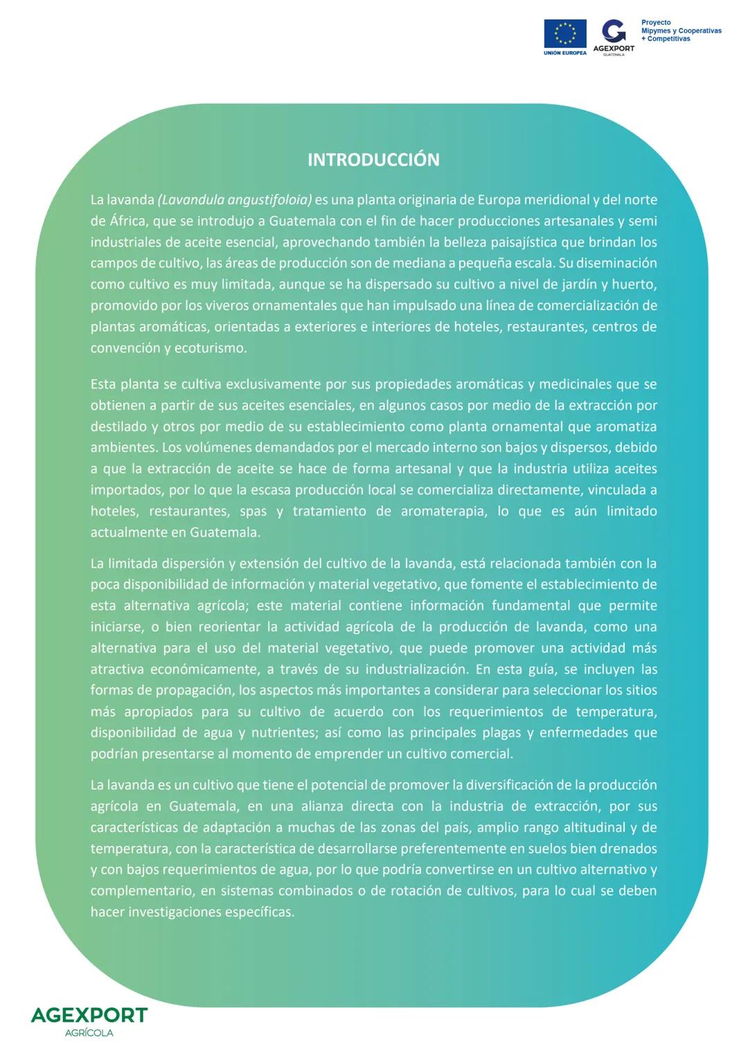 G
AGEXPORT
Proyecto
Mipymes y Cooperativas
+ Competitivas
UNIÓN EUROPEA
GUATEMALA
Lavanda, Lavandula angustifolia
AGEXPORT
AGRÍCOLA CONTENID