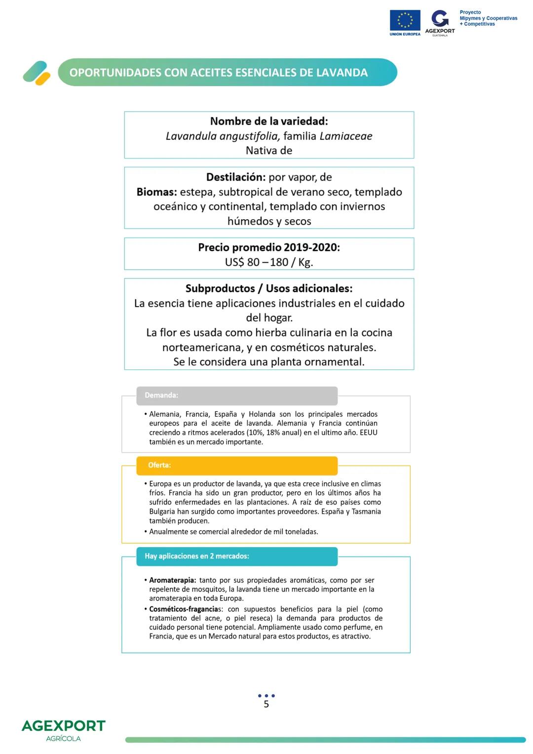 G
AGEXPORT
Proyecto
Mipymes y Cooperativas
+ Competitivas
UNIÓN EUROPEA
GUATEMALA
Lavanda, Lavandula angustifolia
AGEXPORT
AGRÍCOLA CONTENID