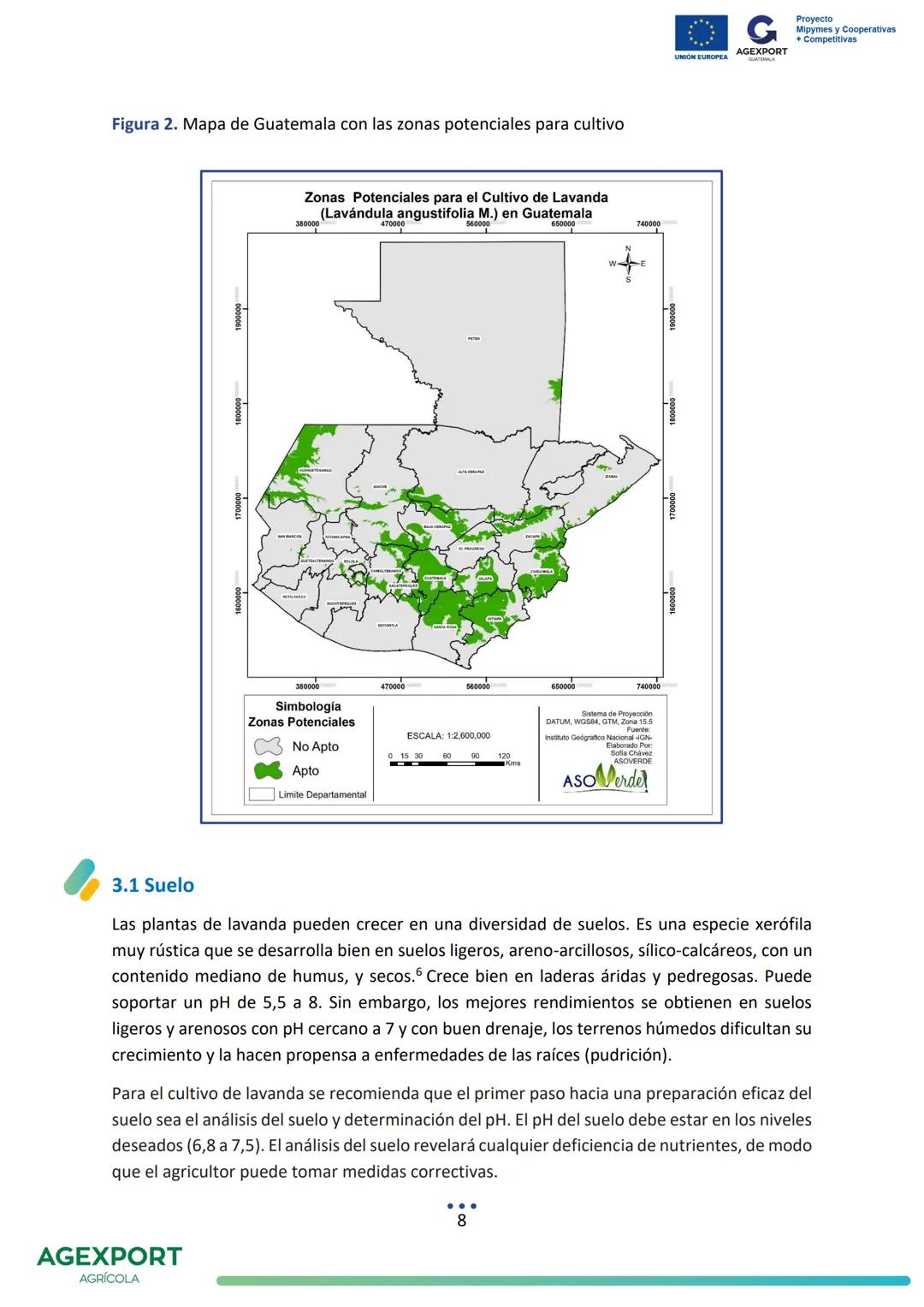 G
AGEXPORT
Proyecto
Mipymes y Cooperativas
+ Competitivas
UNIÓN EUROPEA
GUATEMALA
Lavanda, Lavandula angustifolia
AGEXPORT
AGRÍCOLA CONTENID