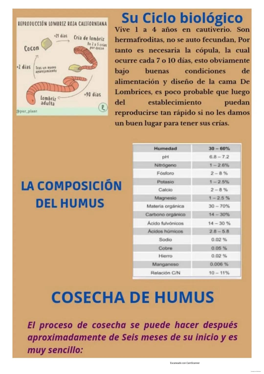 # PROCESO DE
# LOMBRICULTURA
La lombricultura es la cría masiva, sistemática y
controlada de lombrices Rojas o Californianas,
que a través