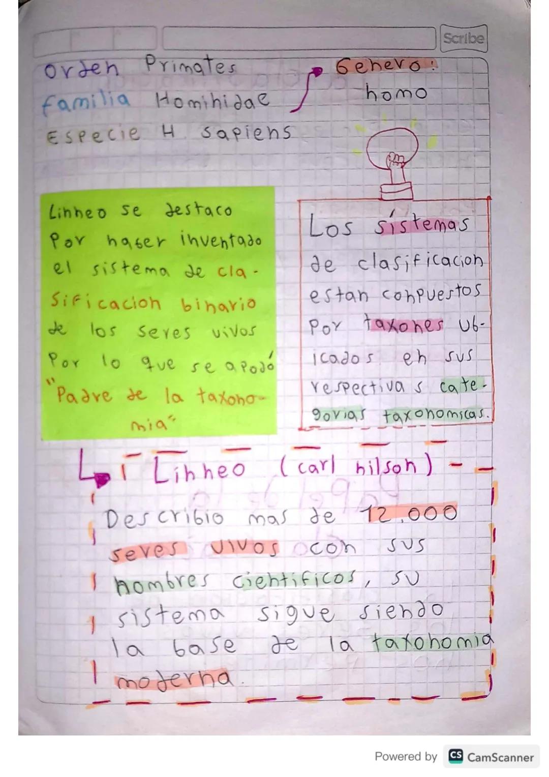orden Primates.
familia Homihidae
Especie H sapiens
Scribe
Gehero!
homo
Jestaco
Linheo se
Por haser inventado
el sistema de cla-
Sificacio