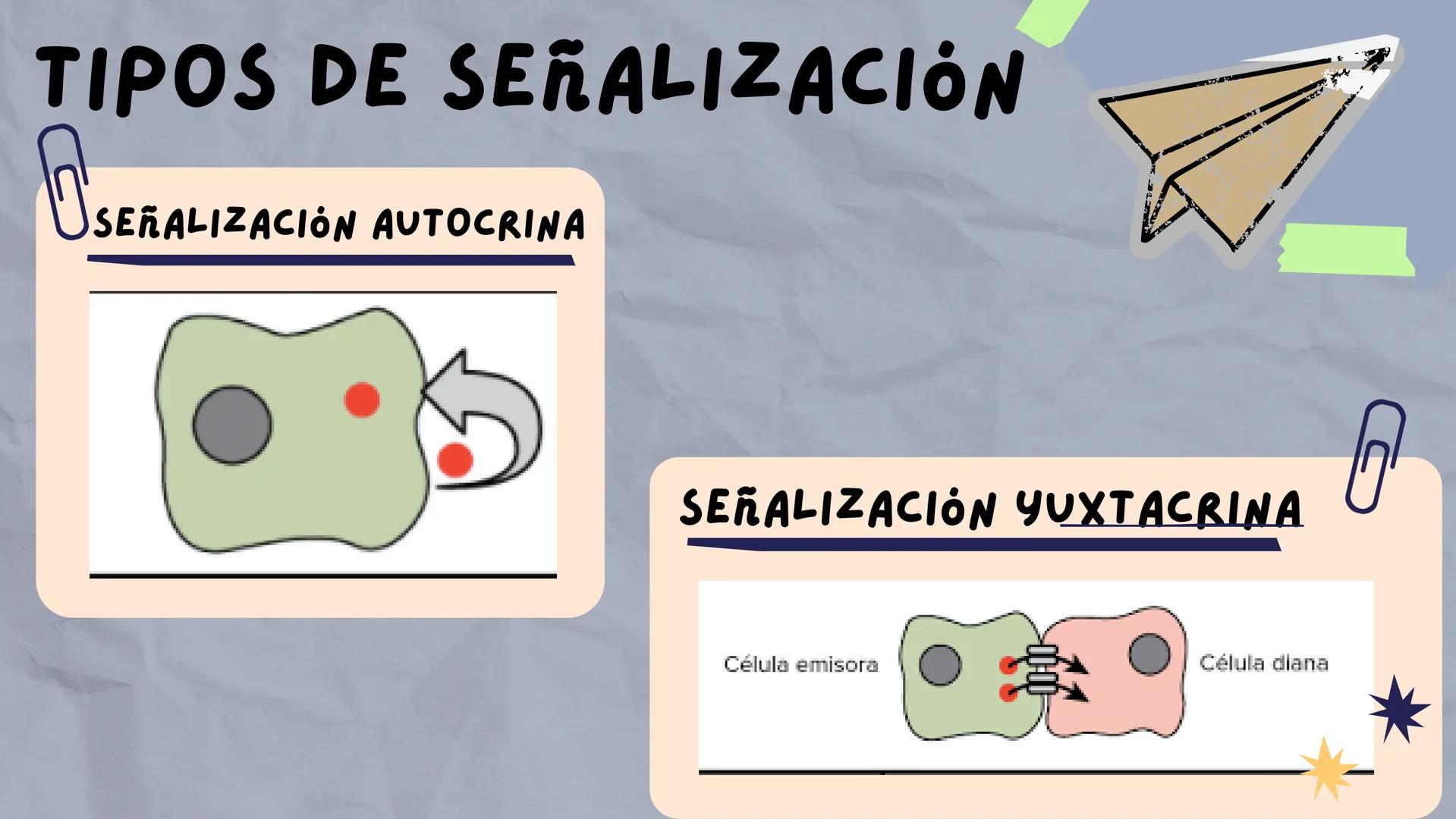 JOSÉ VALBUENA
SEÑALIZACIÓN
CELULAR
UNIVERSIDAD DEL NORTE # TIPOS DE
# SEÑALIZACIÓN
SEÑALIZACIÓN ENDOCRINA:
EL LIGANDO SE TRANSPORTA POR E