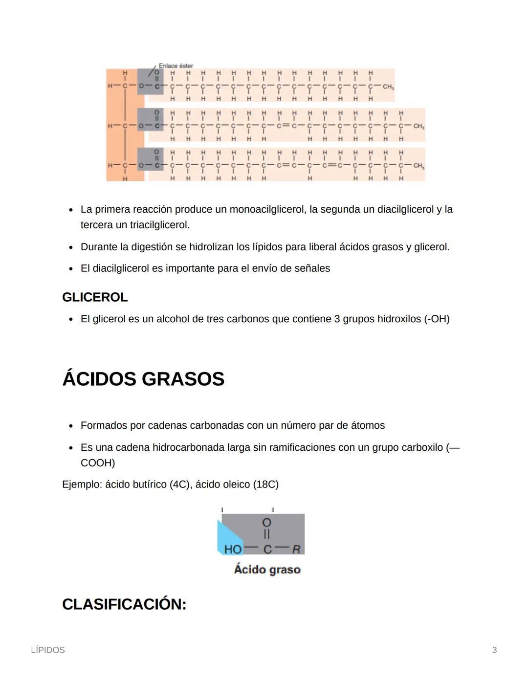 LÍPIDOS
LÍPIDOS
Son la segunda fuente de energía del cuerpo humano
La mayoría son anfipáticos
• Compuestos ternarios (CHO) Aunque muy poco O