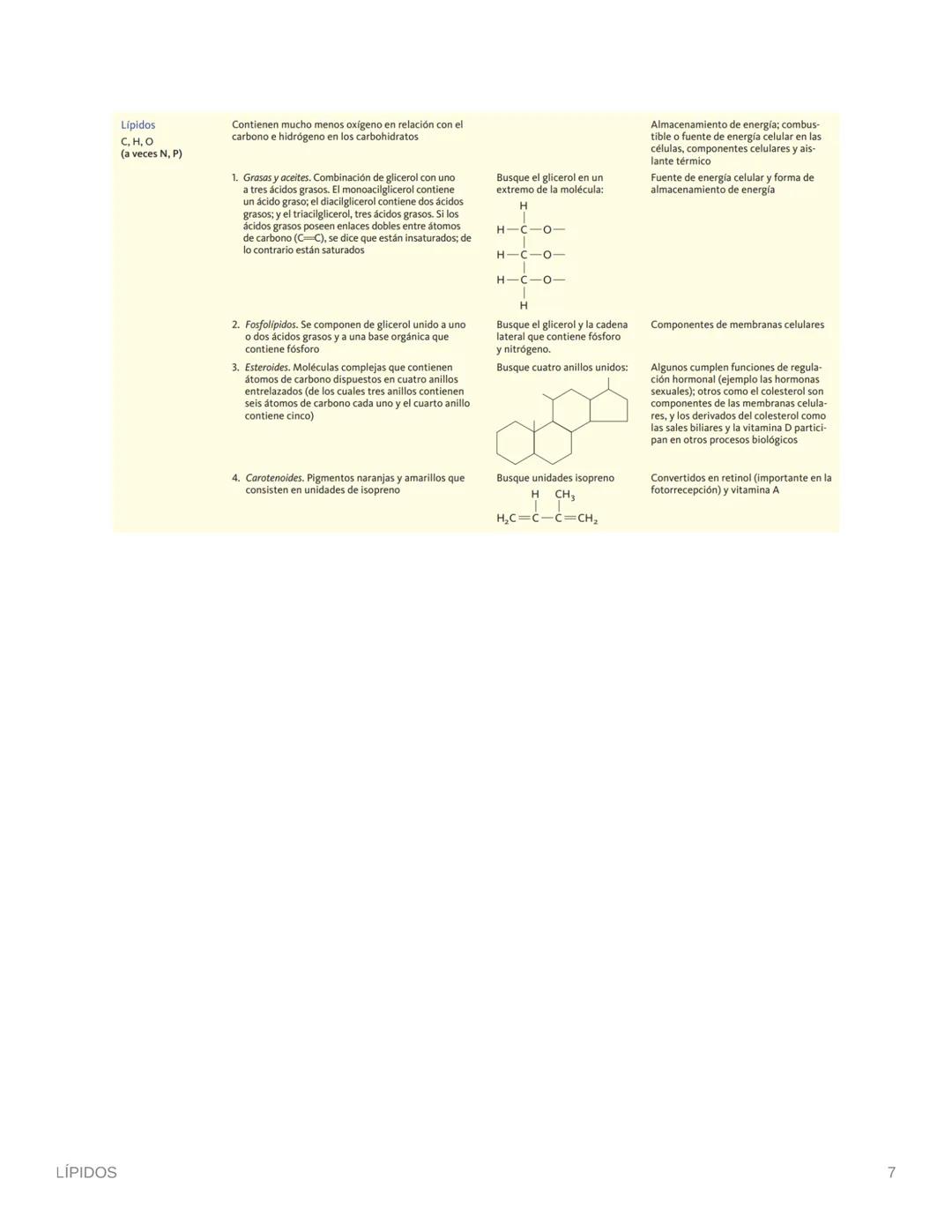 LÍPIDOS
LÍPIDOS
Son la segunda fuente de energía del cuerpo humano
La mayoría son anfipáticos
• Compuestos ternarios (CHO) Aunque muy poco O