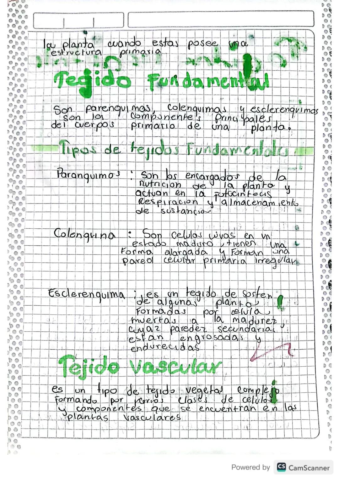 Tegidos vegetale
Los tegidas vegetales son aquellos que
en la plantas
se encuentran
desempeñan en
Crecimientos, Protecion
mecanicos
yse
daño