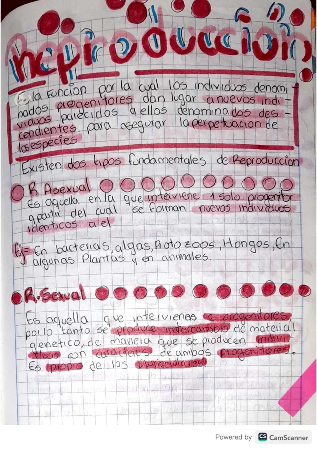 nepiroduccio
Ela Funcion por la cual los individuos denomi -
pados progenitores dan lugar a nuevos indi-
viduos parecidos a ellos denomina d