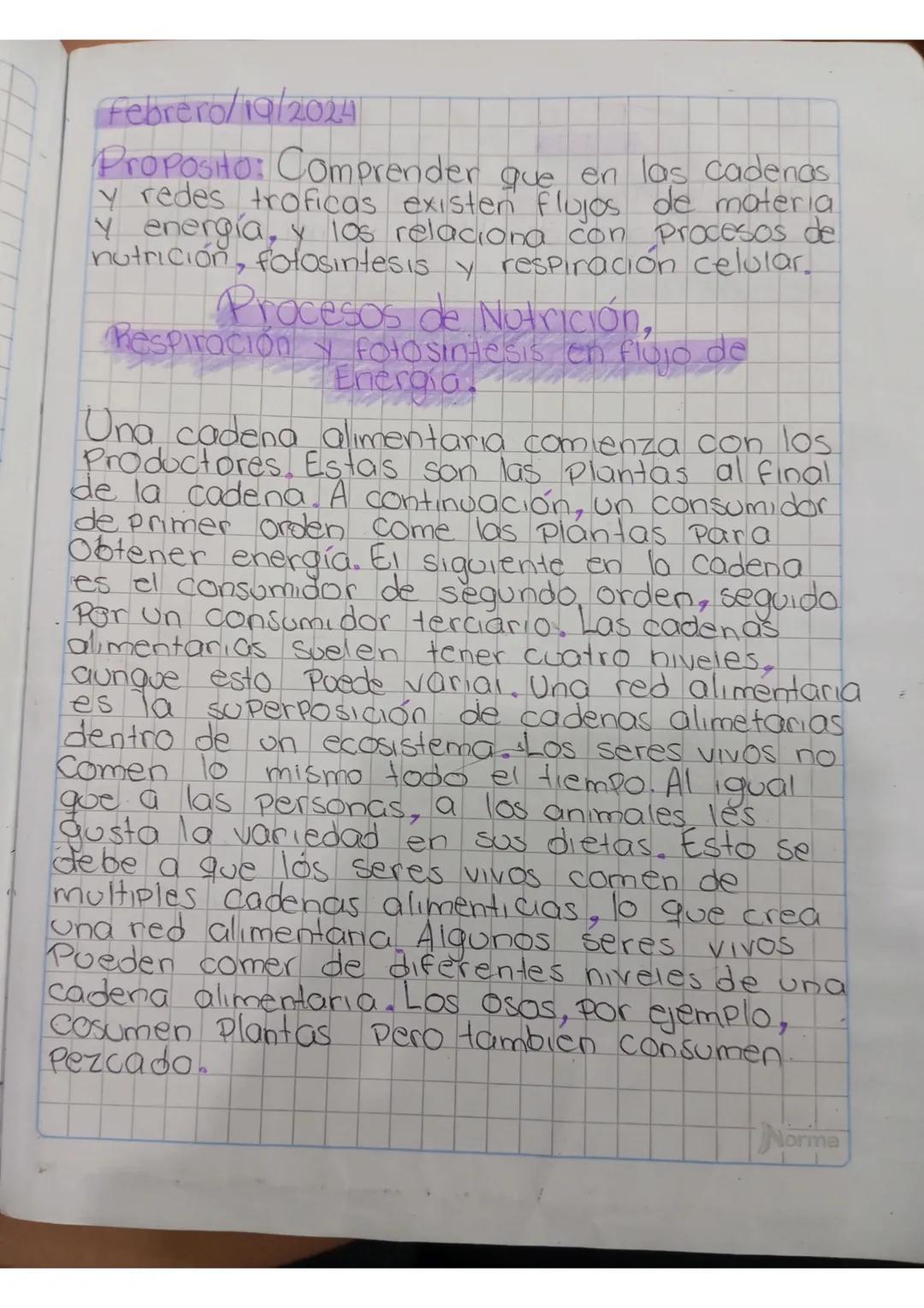 Febrero/19/2024
Proposito: Comprender que en las cadenas
y redes troficas existen flujos de materia
y energía, y los relaciona con procesos