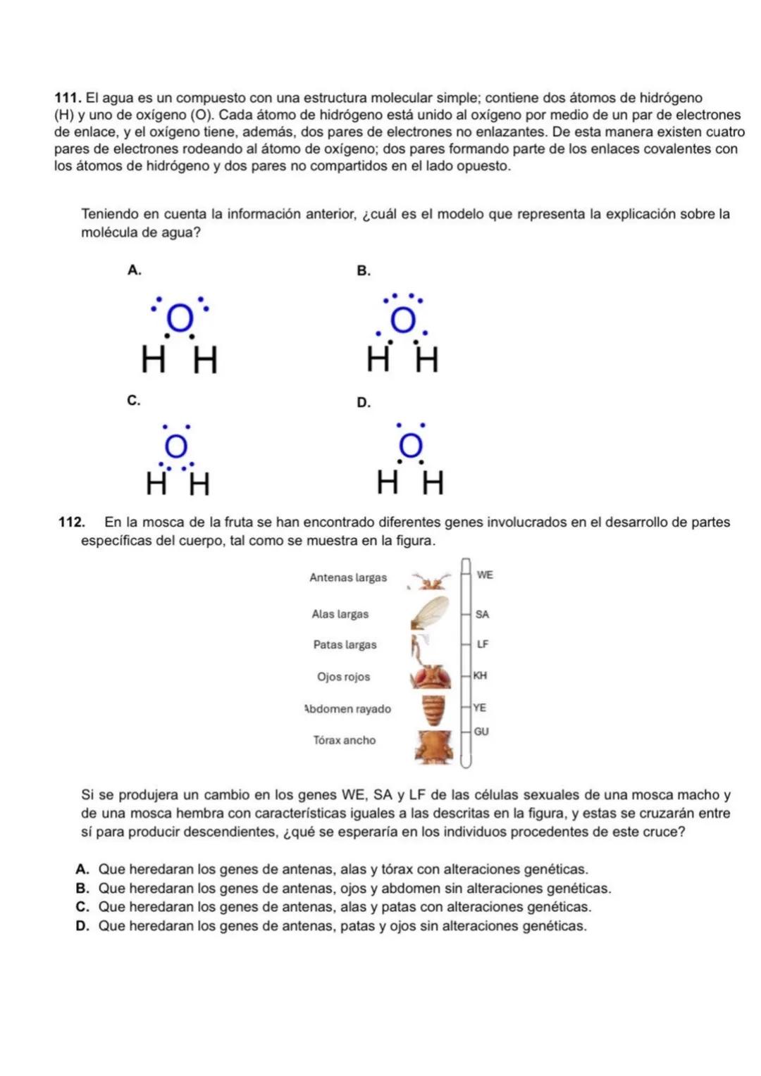CDDA2024157397583000P1
00503595
icfes
ACM1
1008-0309-82122000
CC2024122934701
Examen
1 Saber 11°
PRIMERA SESIÓN
INDIVIDUALES icfes
26