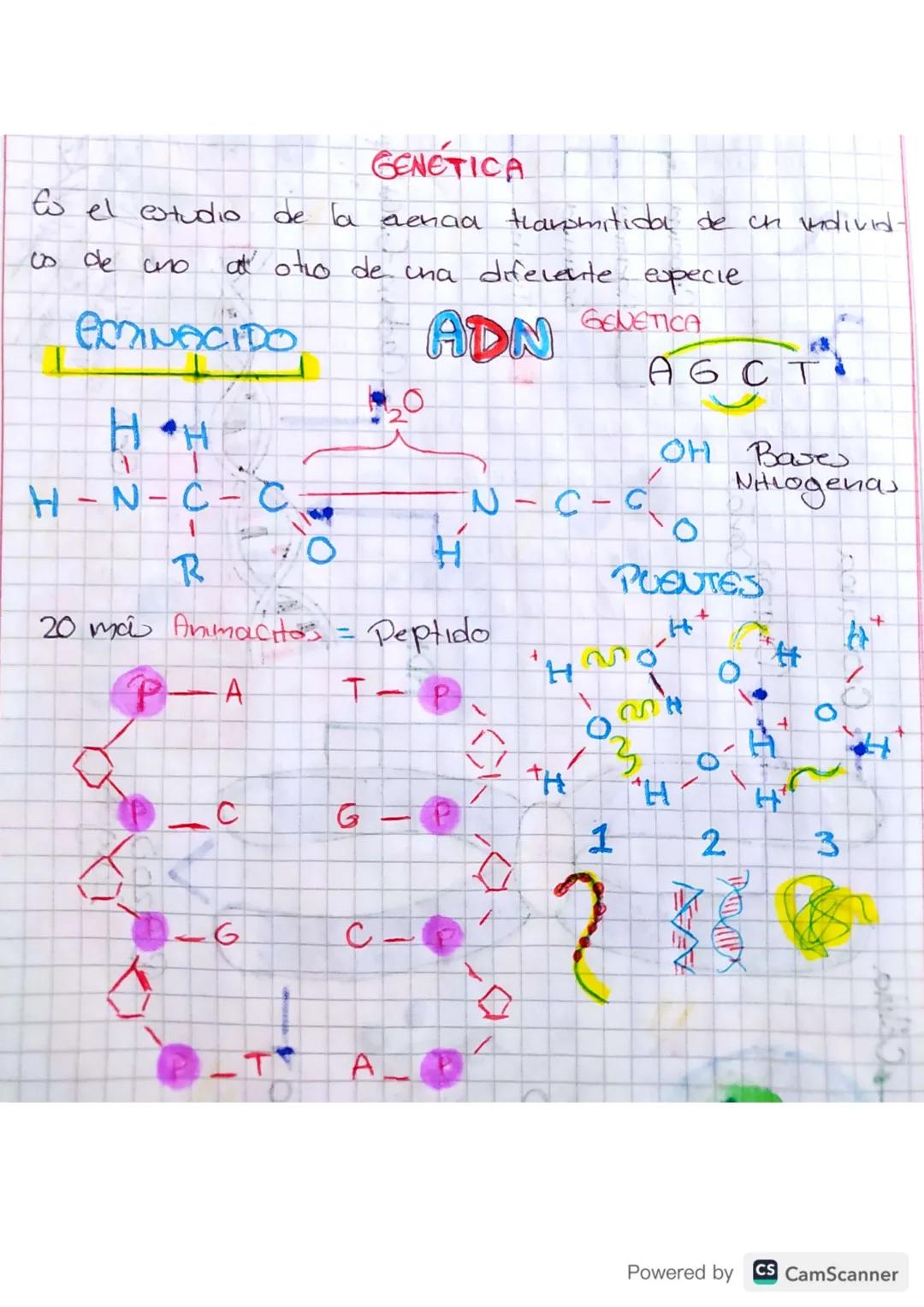 GENETICA
to el estudio de la
aenaa transmitido de un individ-
co de uno al' otro de una diferente especie
ERMINACIDO
2
HH
ADN SELETICO
OH