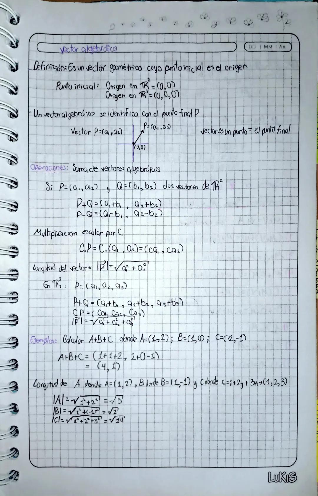 # Vectores en TR² y TB³
DD IMMIAA
- Definición: Un vector geométrico es un segmento entre dos puntos que
tiene magnitud y dirección. Se re