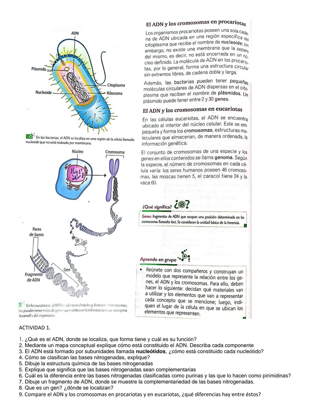 INSTITUCION EDUCATIVA TÉCNICA EMPRESARIAL
MAXIMILIANO NEIRA LAMUS"
IBAGUE - TOLIMA
ASIGNATURA: BIOLOGIA
ESTUDIANTE:
GRADO 9-2
3° PERIODO
Fec