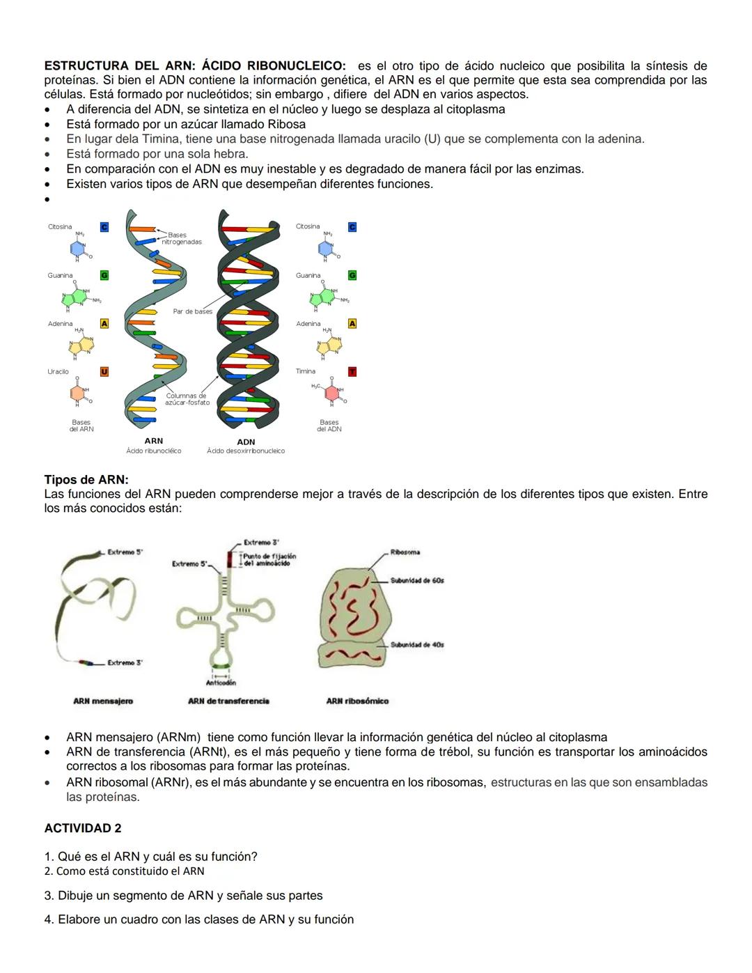INSTITUCION EDUCATIVA TÉCNICA EMPRESARIAL
MAXIMILIANO NEIRA LAMUS"
IBAGUE - TOLIMA
ASIGNATURA: BIOLOGIA
ESTUDIANTE:
GRADO 9-2
3° PERIODO
Fec