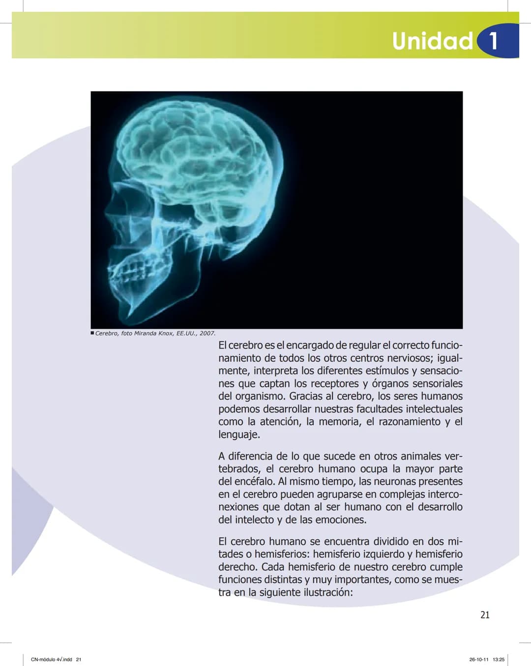 tapas 3345.indd 1
Mamed
CIENCIAS NATURALES
SEGUNDO CICLO
MÓDULO 4
Los seres vivos y el ambiente:
Recepción y flujo de
información en el o
