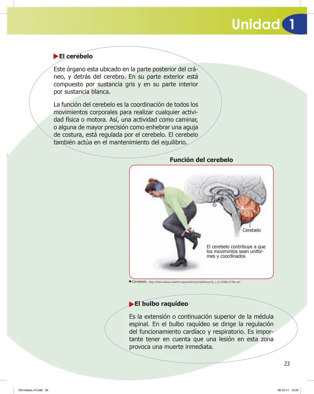 tapas 3345.indd 1
Mamed
CIENCIAS NATURALES
SEGUNDO CICLO
MÓDULO 4
Los seres vivos y el ambiente:
Recepción y flujo de
información en el o