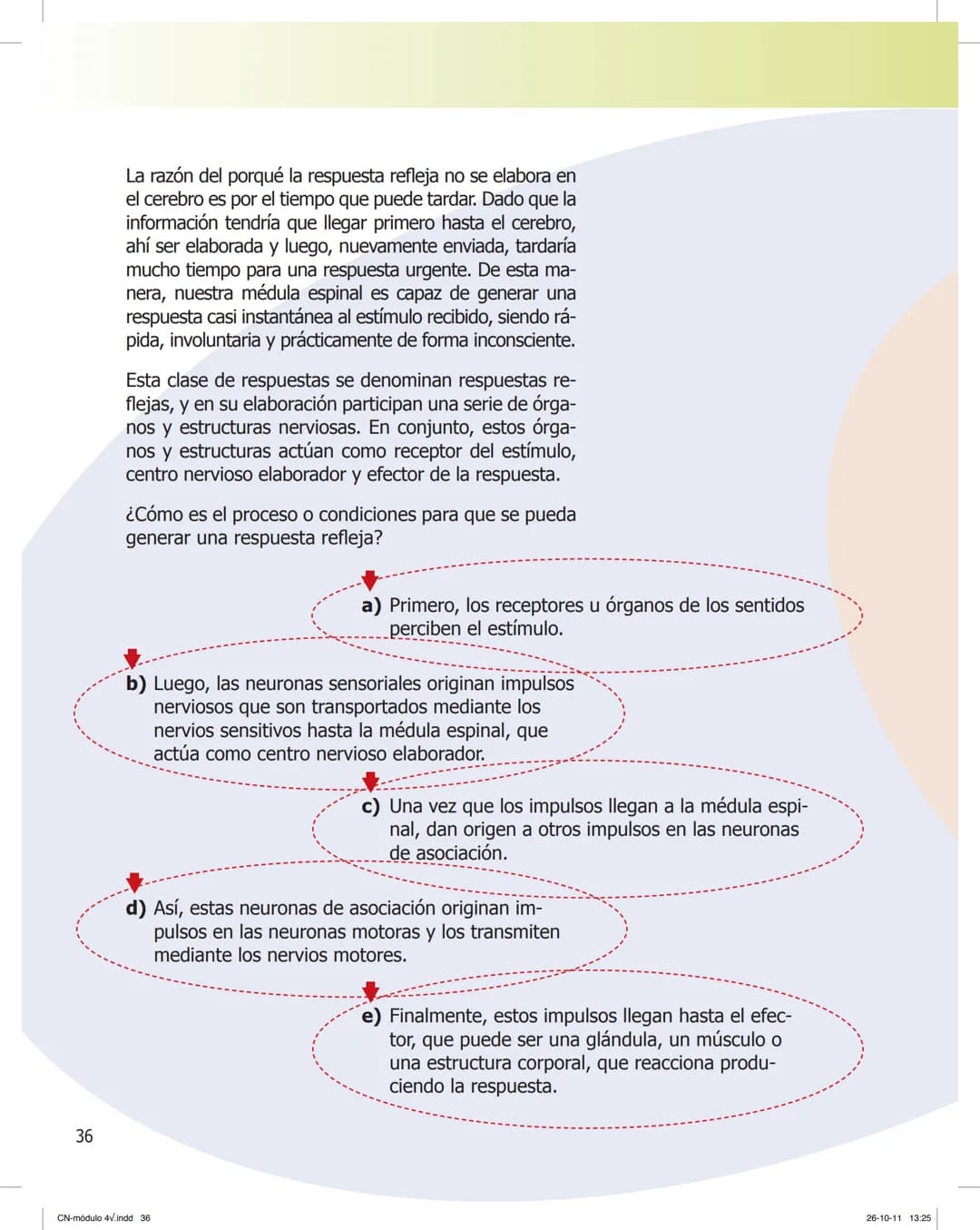 tapas 3345.indd 1
Mamed
CIENCIAS NATURALES
SEGUNDO CICLO
MÓDULO 4
Los seres vivos y el ambiente:
Recepción y flujo de
información en el o