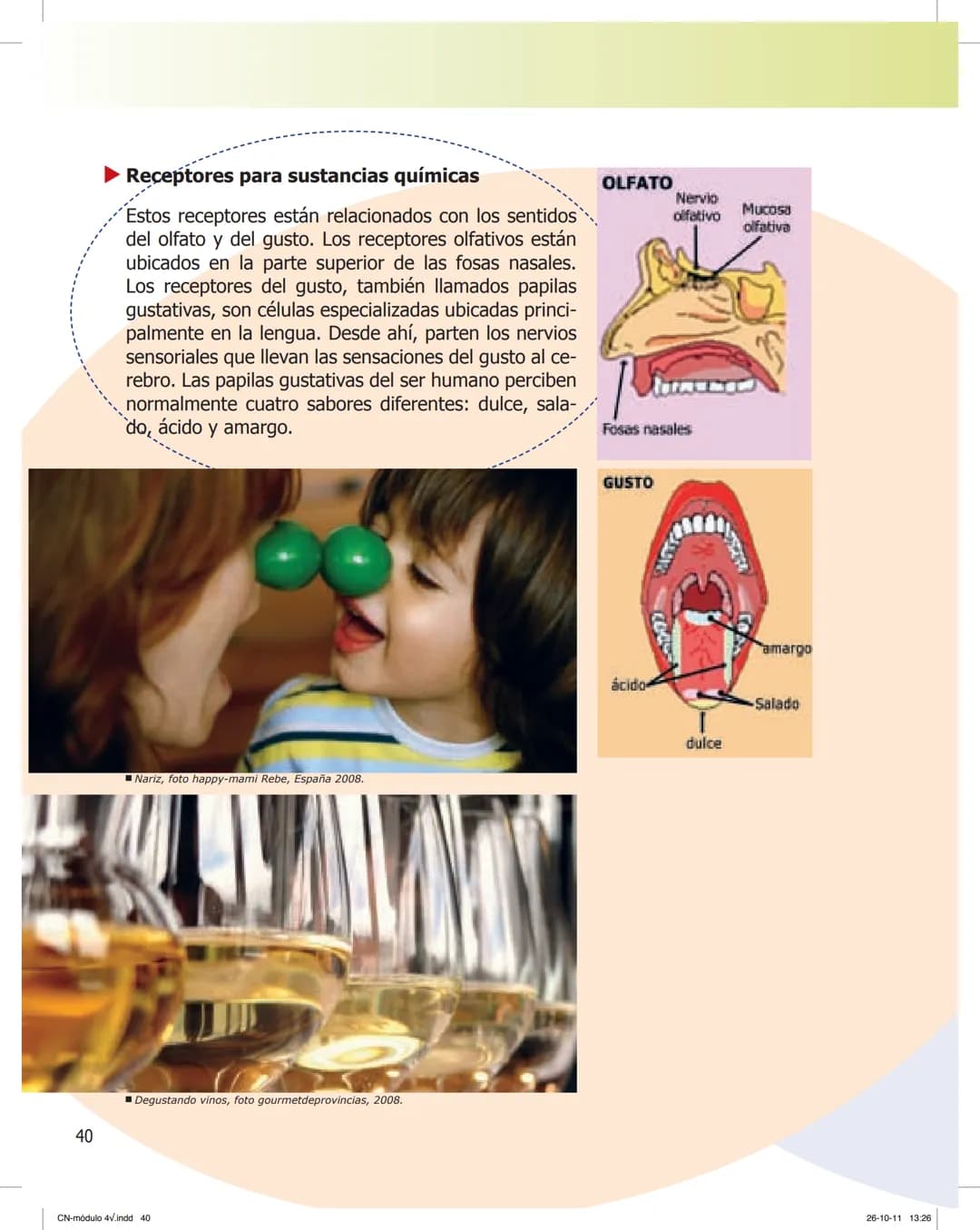 tapas 3345.indd 1
Mamed
CIENCIAS NATURALES
SEGUNDO CICLO
MÓDULO 4
Los seres vivos y el ambiente:
Recepción y flujo de
información en el o