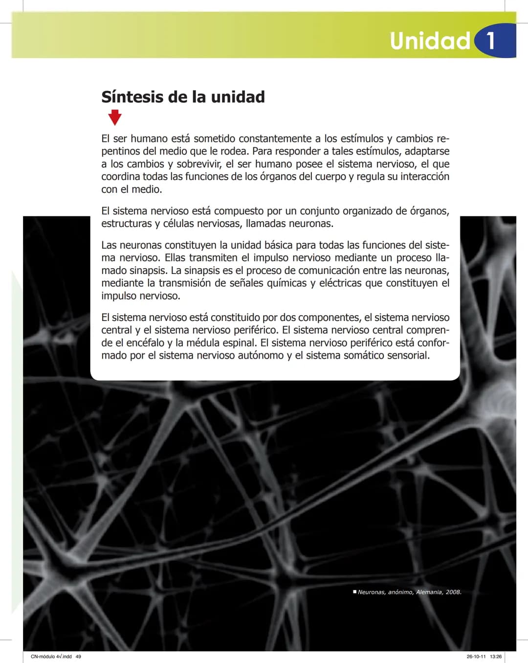 tapas 3345.indd 1
Mamed
CIENCIAS NATURALES
SEGUNDO CICLO
MÓDULO 4
Los seres vivos y el ambiente:
Recepción y flujo de
información en el o