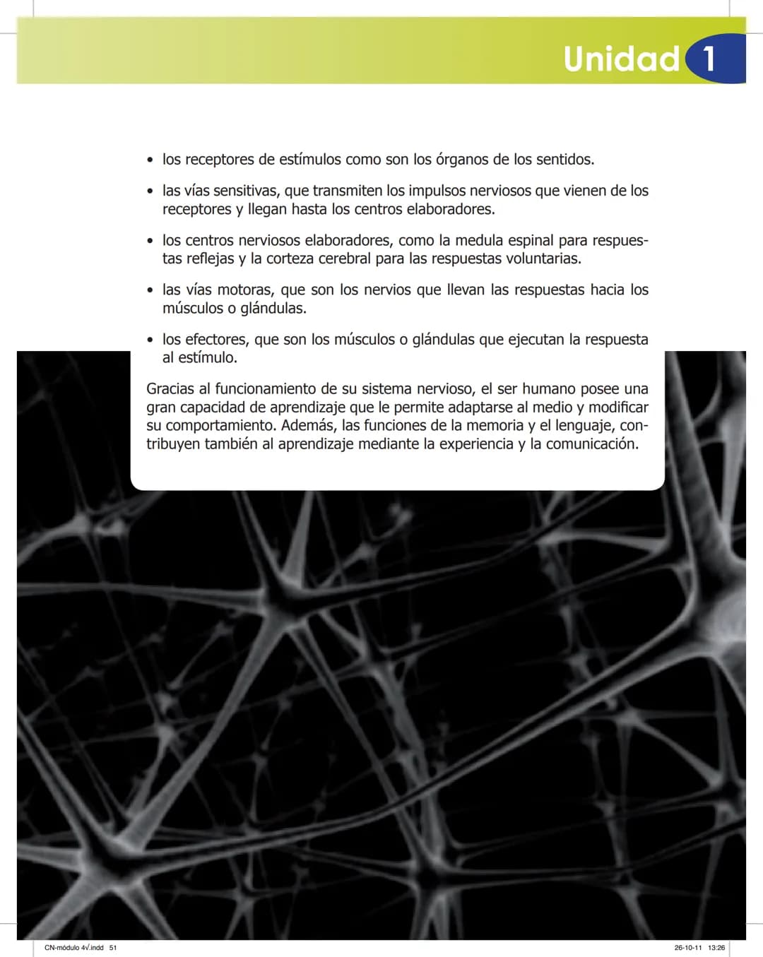 tapas 3345.indd 1
Mamed
CIENCIAS NATURALES
SEGUNDO CICLO
MÓDULO 4
Los seres vivos y el ambiente:
Recepción y flujo de
información en el o