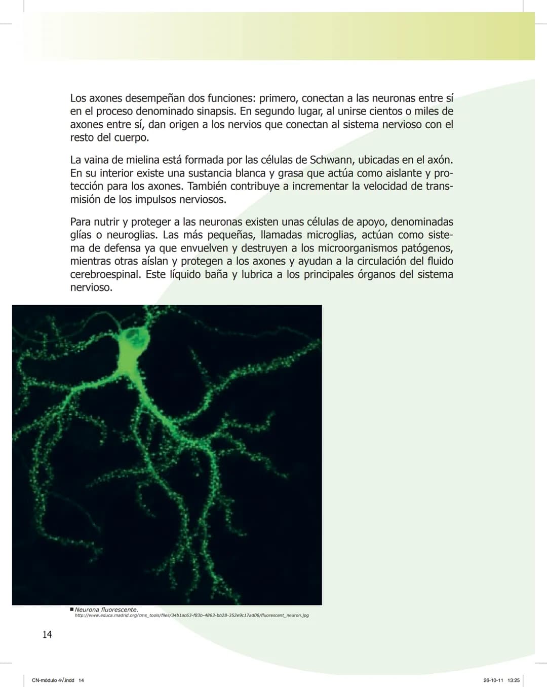tapas 3345.indd 1
Mamed
CIENCIAS NATURALES
SEGUNDO CICLO
MÓDULO 4
Los seres vivos y el ambiente:
Recepción y flujo de
información en el o