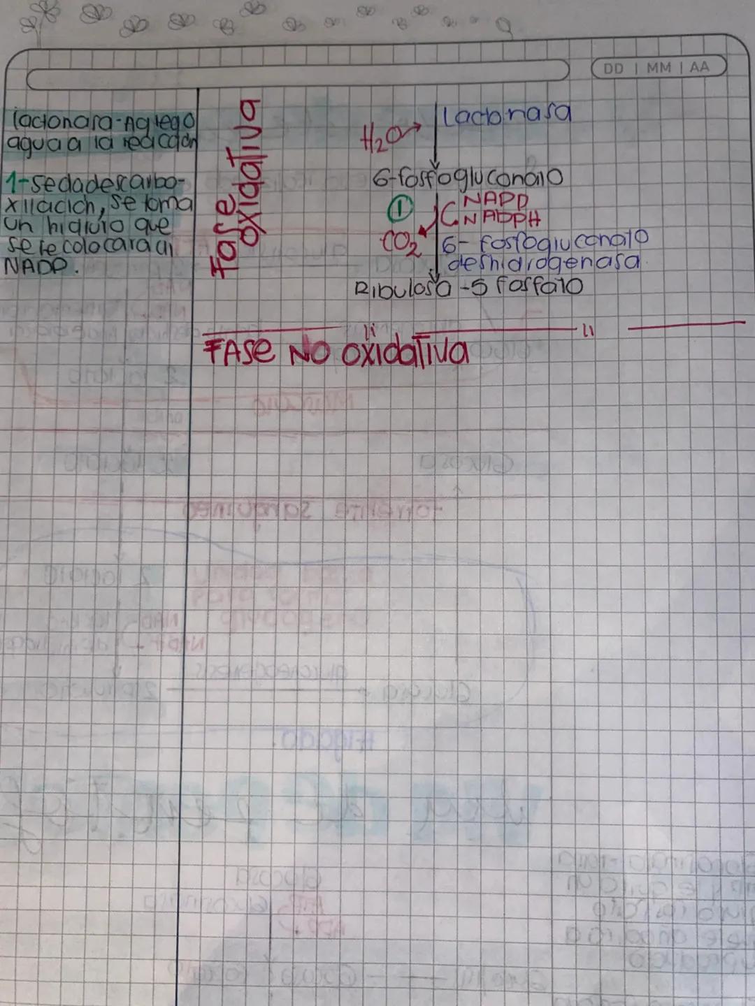 DDMM AA
# Glase de
# METABOLISMO
- Metabolismo la suma de todas las reacciones
quimicas que se llevon acabo dentia de la célula
- Anabolismo