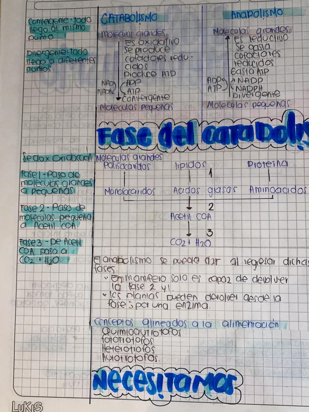 DDMM AA
# Glase de
# METABOLISMO
- Metabolismo la suma de todas las reacciones
quimicas que se llevon acabo dentia de la célula
- Anabolismo