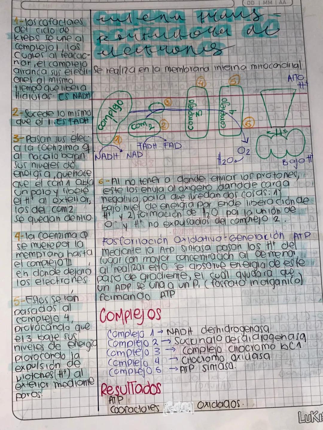 DDMM AA
# Glase de
# METABOLISMO
- Metabolismo la suma de todas las reacciones
quimicas que se llevon acabo dentia de la célula
- Anabolismo