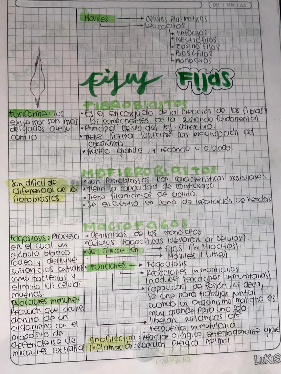 # Histologia
conjunto de celulas que funcionan
en forma colectiva.
Basicos
- Ephelial
- Conjuntivo O Conectivo
- Muscular
- Nervioso
TEJI