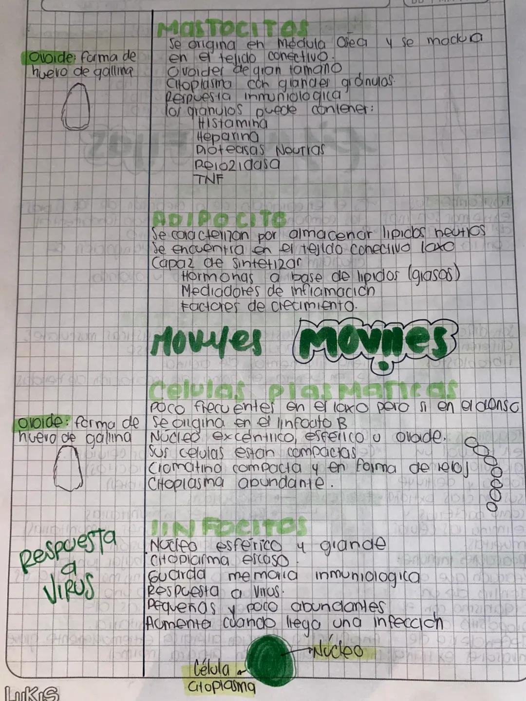 # Histologia
conjunto de celulas que funcionan
en forma colectiva.
Basicos
- Ephelial
- Conjuntivo O Conectivo
- Muscular
- Nervioso
TEJI