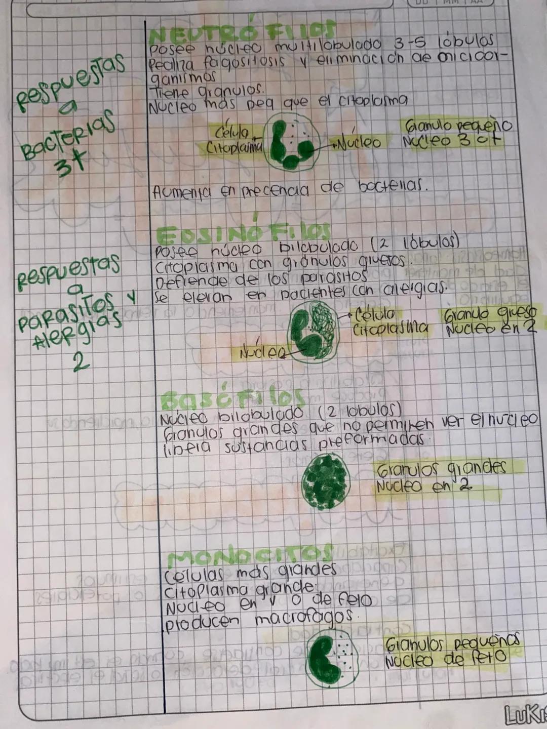 # Histologia
conjunto de celulas que funcionan
en forma colectiva.
Basicos
- Ephelial
- Conjuntivo O Conectivo
- Muscular
- Nervioso
TEJI