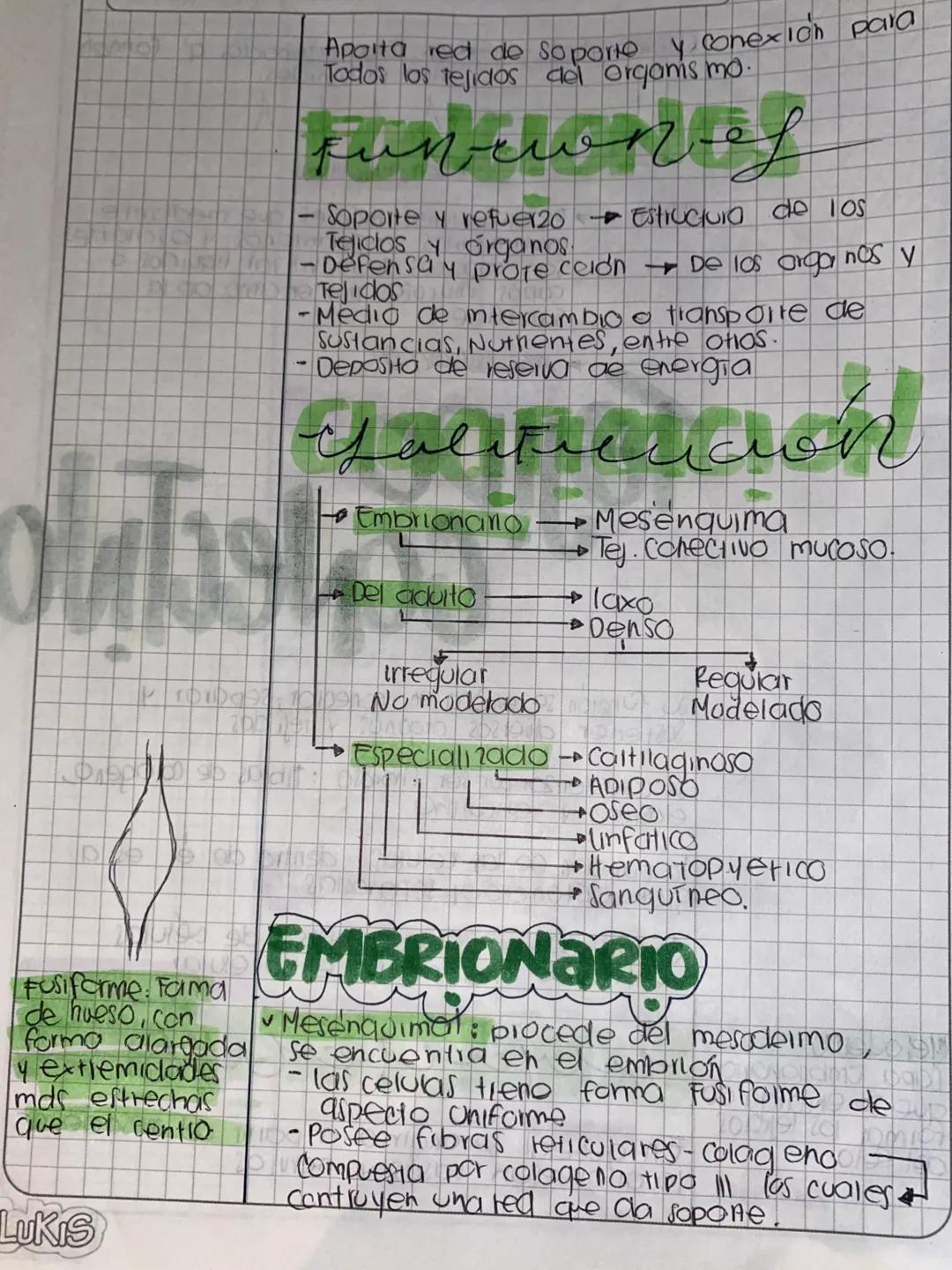 # Histologia
conjunto de celulas que funcionan
en forma colectiva.
Basicos
- Ephelial
- Conjuntivo O Conectivo
- Muscular
- Nervioso
TEJI