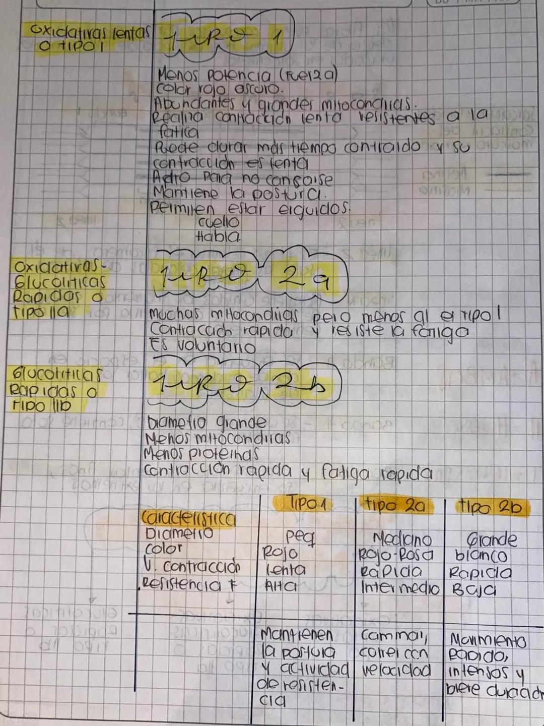 Tejido
DD IMMI AA
Homeostasis: Capaa- Contribuye a la homeostasis
dad de mantener provoca movimientos corporales
el estado de Desplaza susta