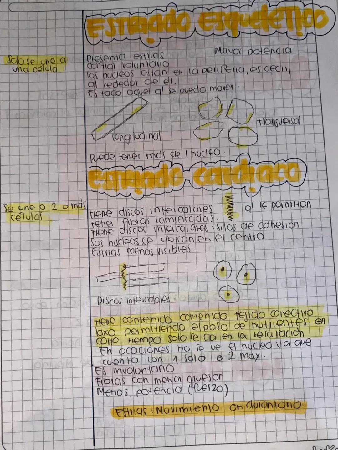 Tejido
DD IMMI AA
Homeostasis: Capaa- Contribuye a la homeostasis
dad de mantener provoca movimientos corporales
el estado de Desplaza susta