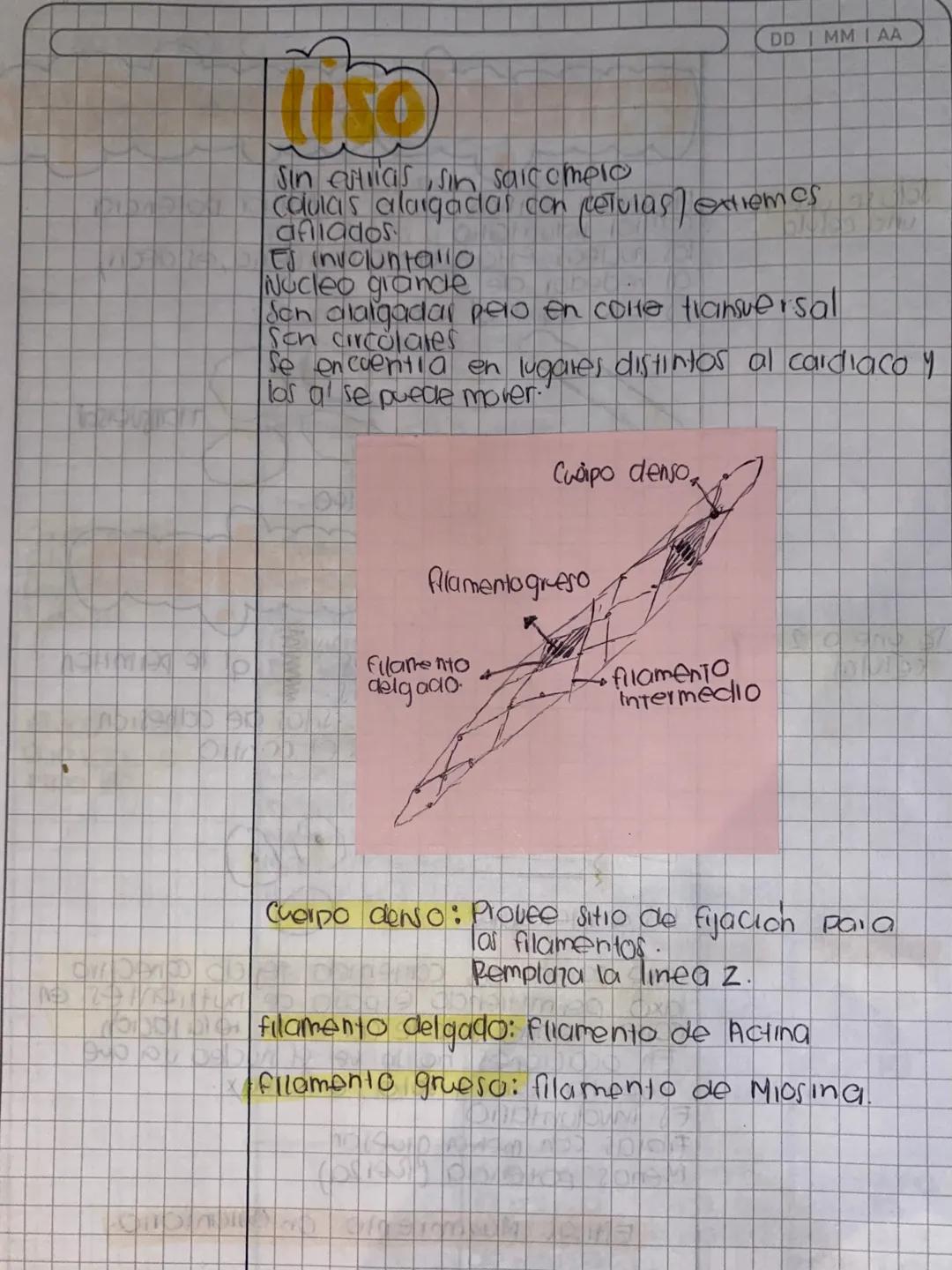 Tejido
DD IMMI AA
Homeostasis: Capaa- Contribuye a la homeostasis
dad de mantener provoca movimientos corporales
el estado de Desplaza susta