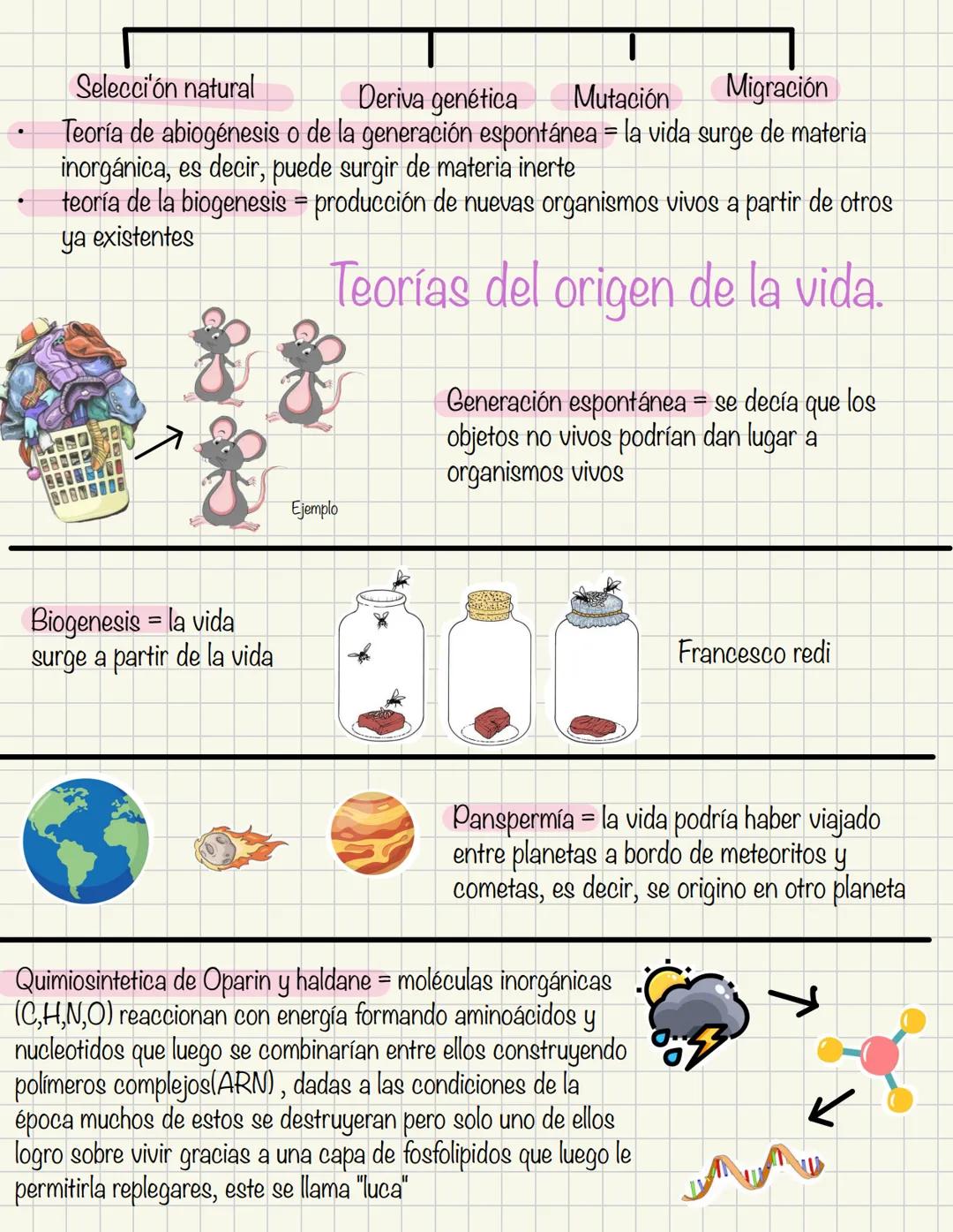 Bioevolución
La evolución biológica es el conjunto de cambios en fenotipos y genótipos de
poblaciones a través de generaciones
Gracias a dic