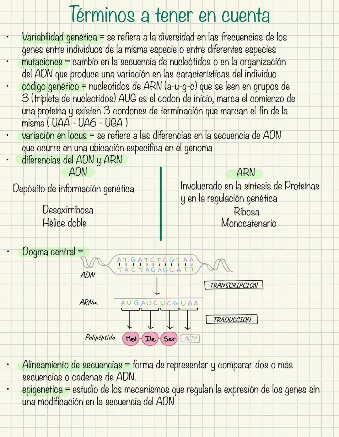 Evolución molecular
Estudio de los cambios en secuencias de ADN y proteínas a lo largo del tiempo, y como
estos cambios contribuyen a la div