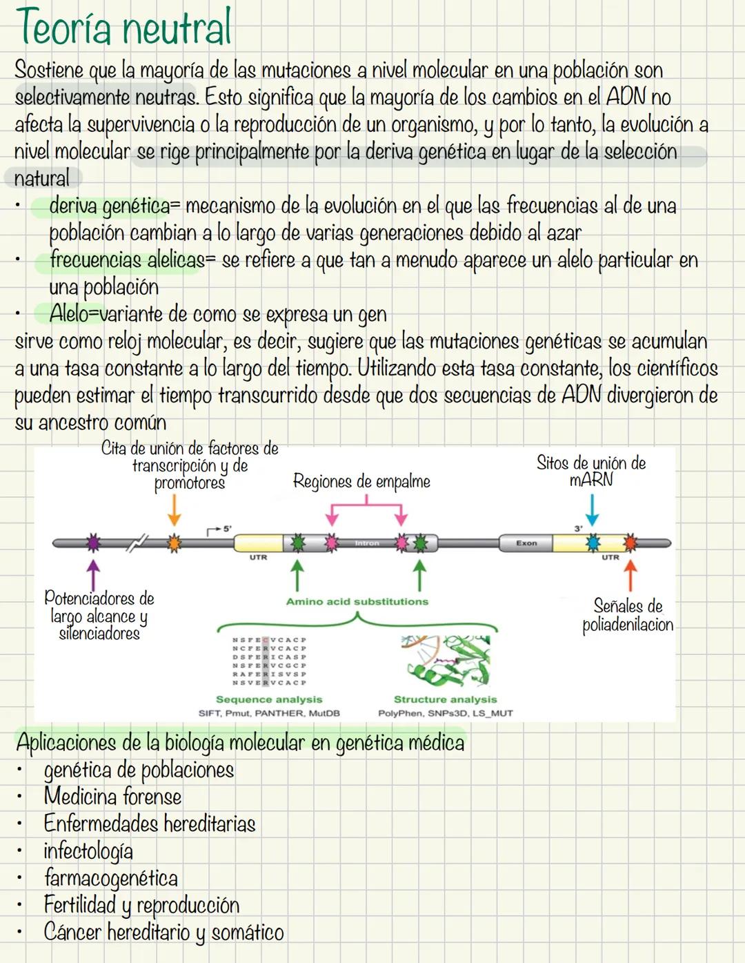 Evolución molecular
Estudio de los cambios en secuencias de ADN y proteínas a lo largo del tiempo, y como
estos cambios contribuyen a la div