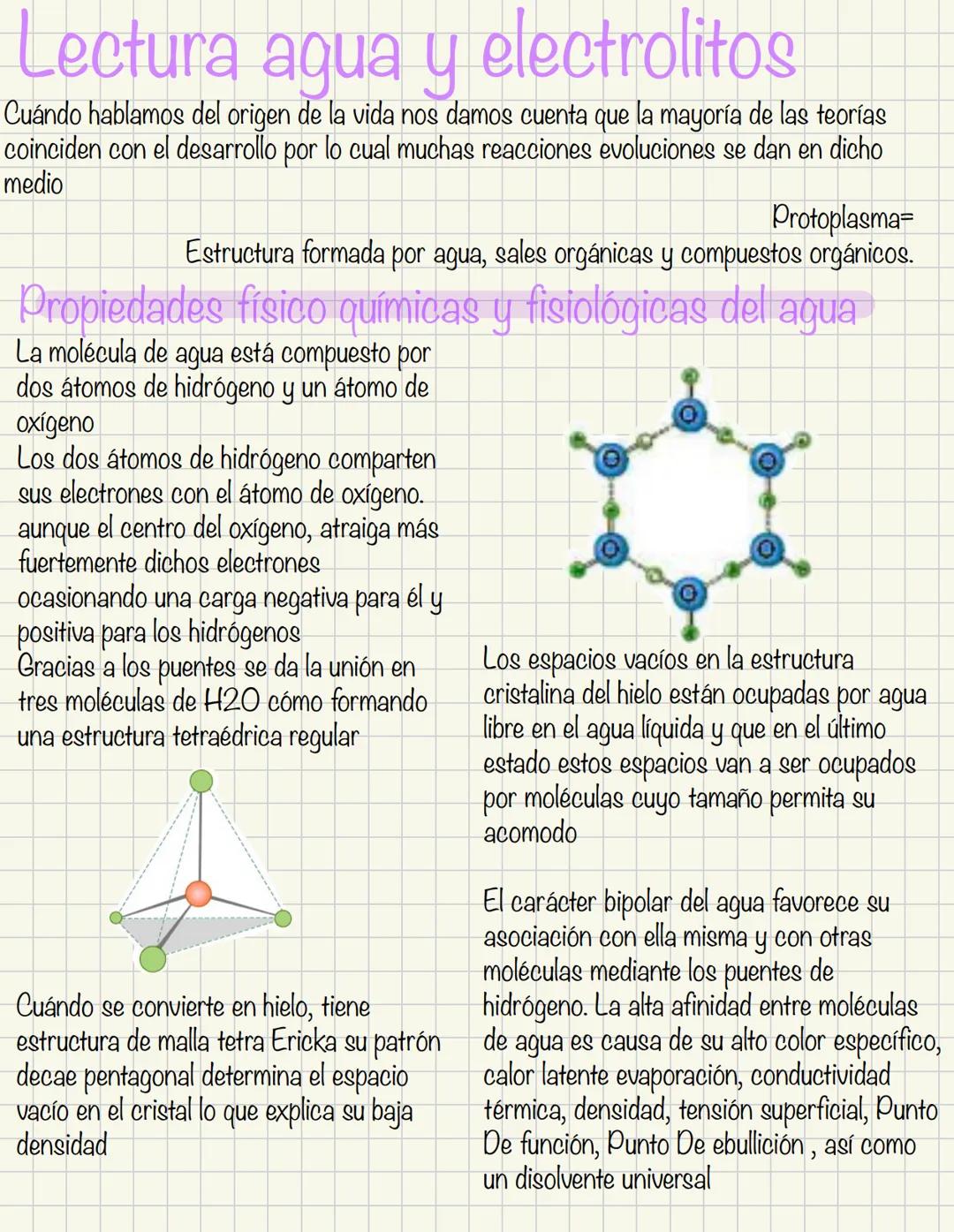 # Lectura agua y electrolitos
Cuándo hablamos del origen de la vida nos damos cuenta que la mayoría de las teorías
coinciden con el desarrol