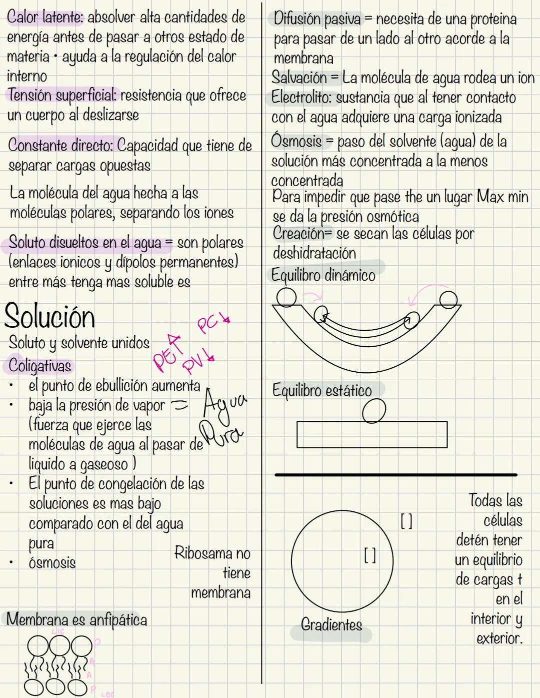 # Lectura agua y electrolitos
Cuándo hablamos del origen de la vida nos damos cuenta que la mayoría de las teorías
coinciden con el desarrol