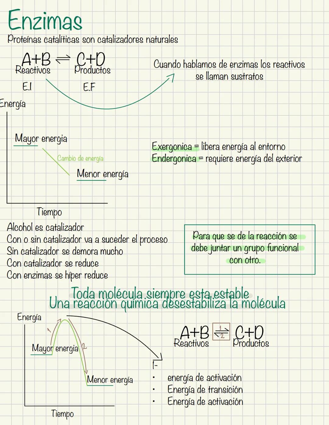 Enzimas
Proteínas catalíticas son catalizadores naturales
A+B
Reactivos
C+D
Productos
Cuando hablamos de enzimas los reactivos
se llaman sus