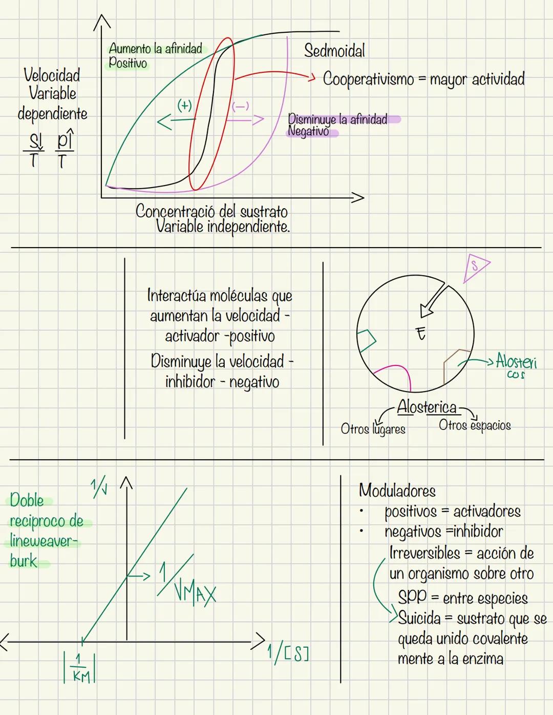 Enzimas
Proteínas catalíticas son catalizadores naturales
A+B
Reactivos
C+D
Productos
Cuando hablamos de enzimas los reactivos
se llaman sus