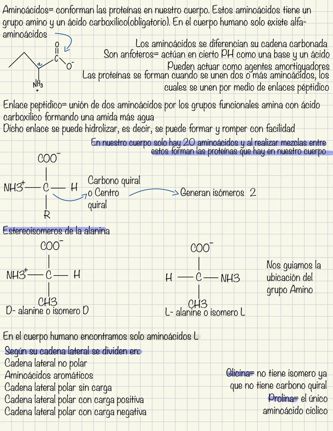 Aminoácidos conforman las proteínas en nuestro cuerpo. Estos aminoácidos tiene un
grupo amino y un ácido carboxilico(obligatorio). En el cue