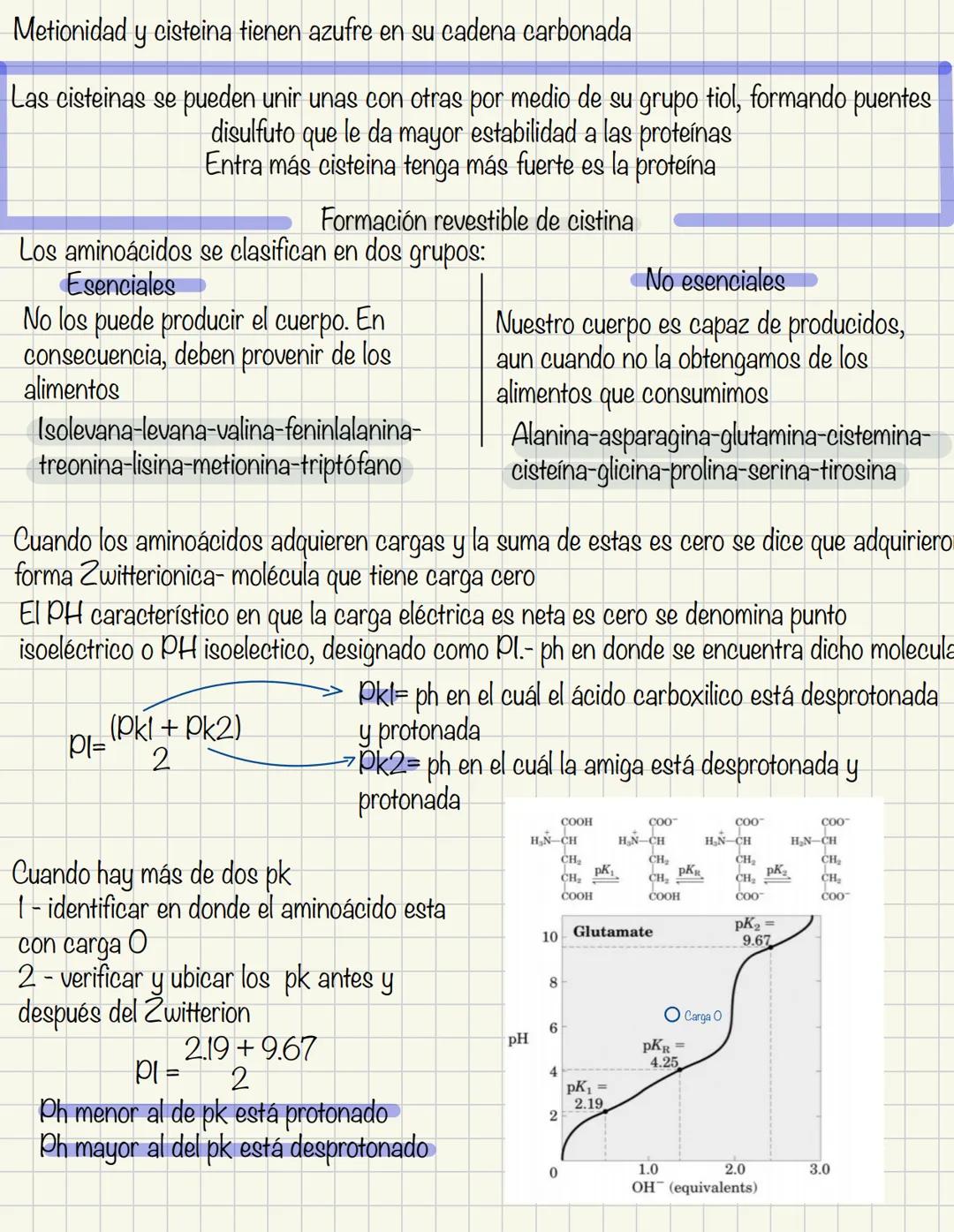 Aminoácidos conforman las proteínas en nuestro cuerpo. Estos aminoácidos tiene un
grupo amino y un ácido carboxilico(obligatorio). En el cue